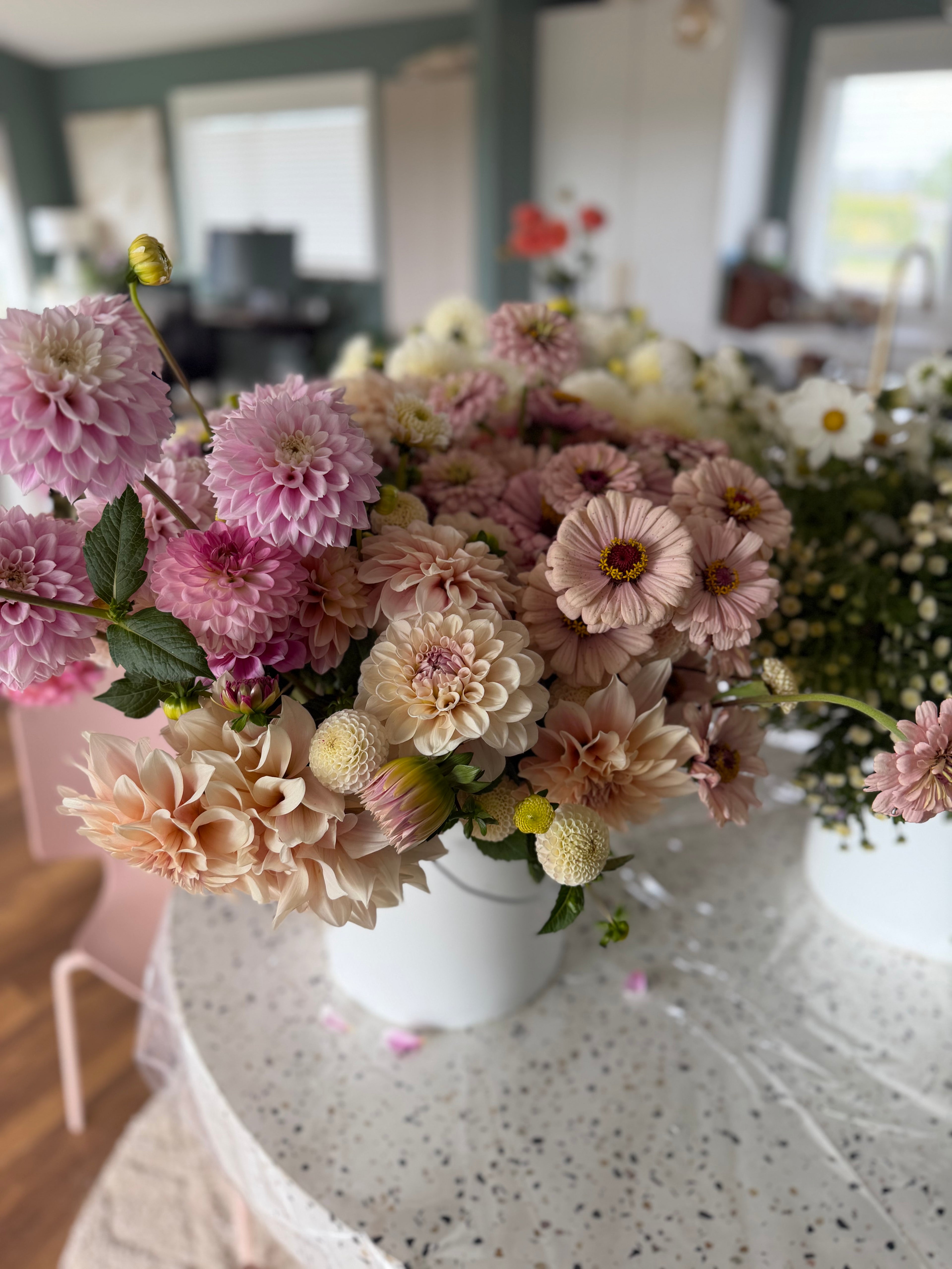 Zinnia Seeds – LLFF Farm Blend