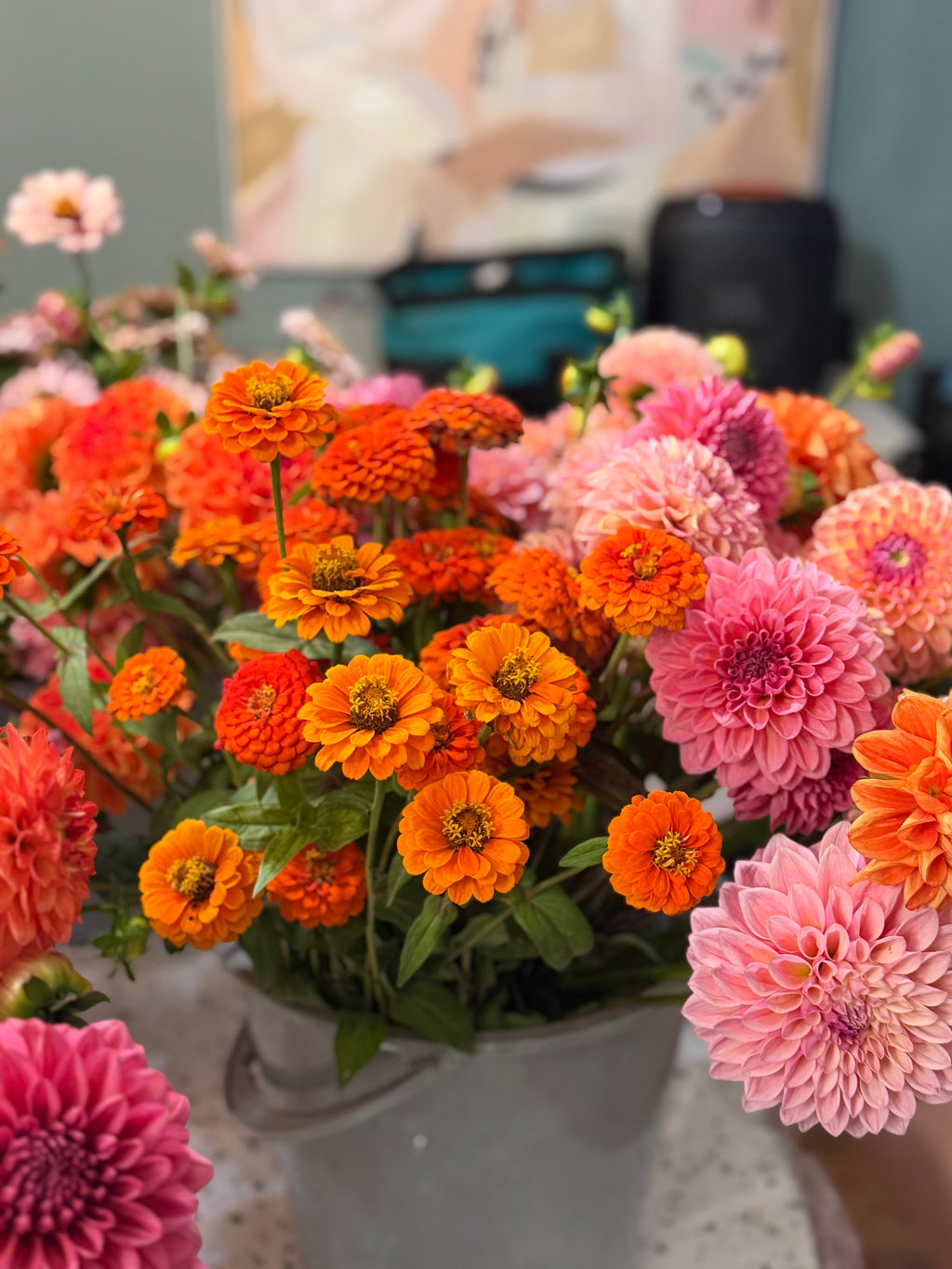 Zinnia Seeds – LLFF Farm Blend