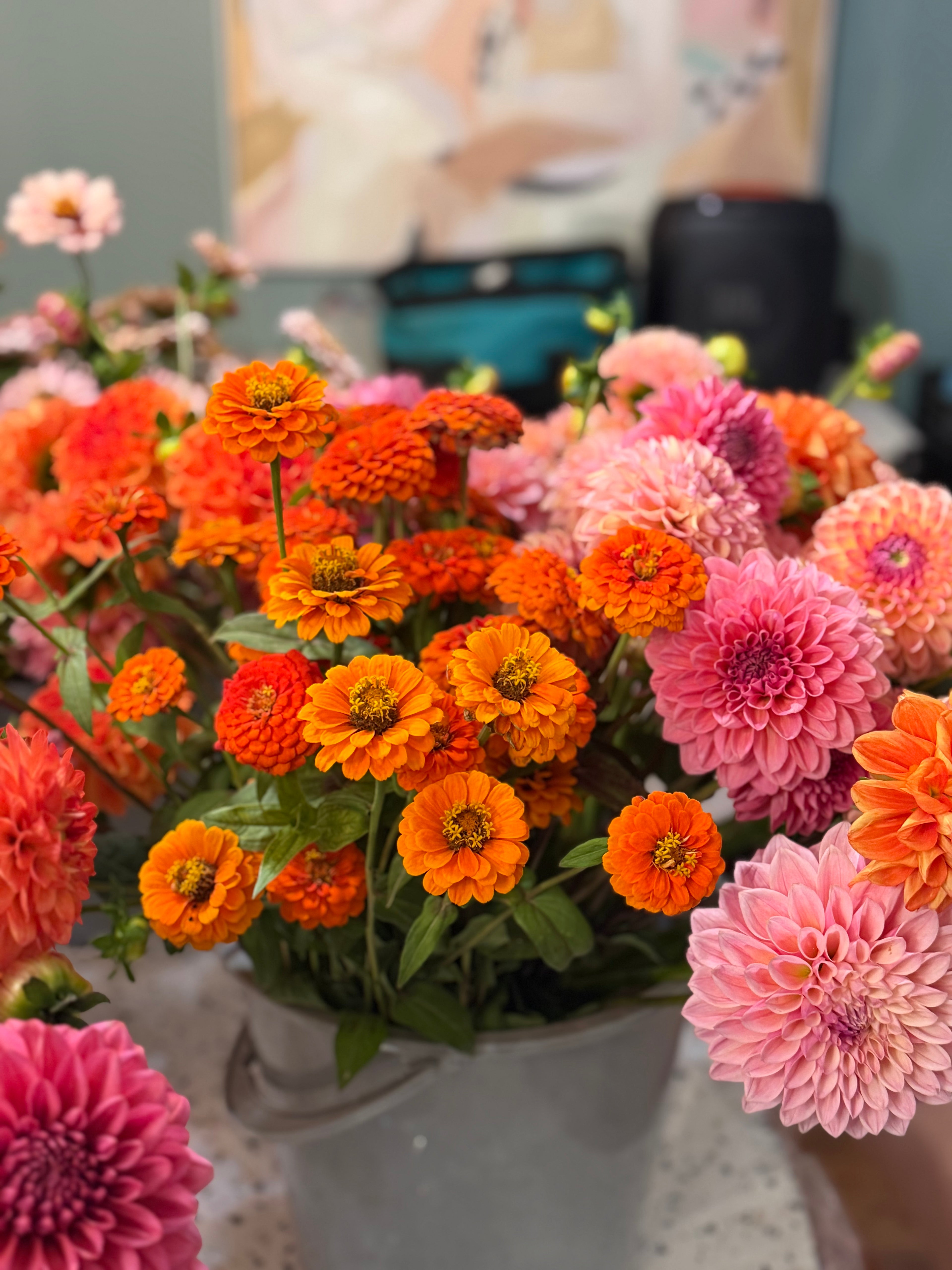 Zinnia Seeds – LLFF Farm Blend
