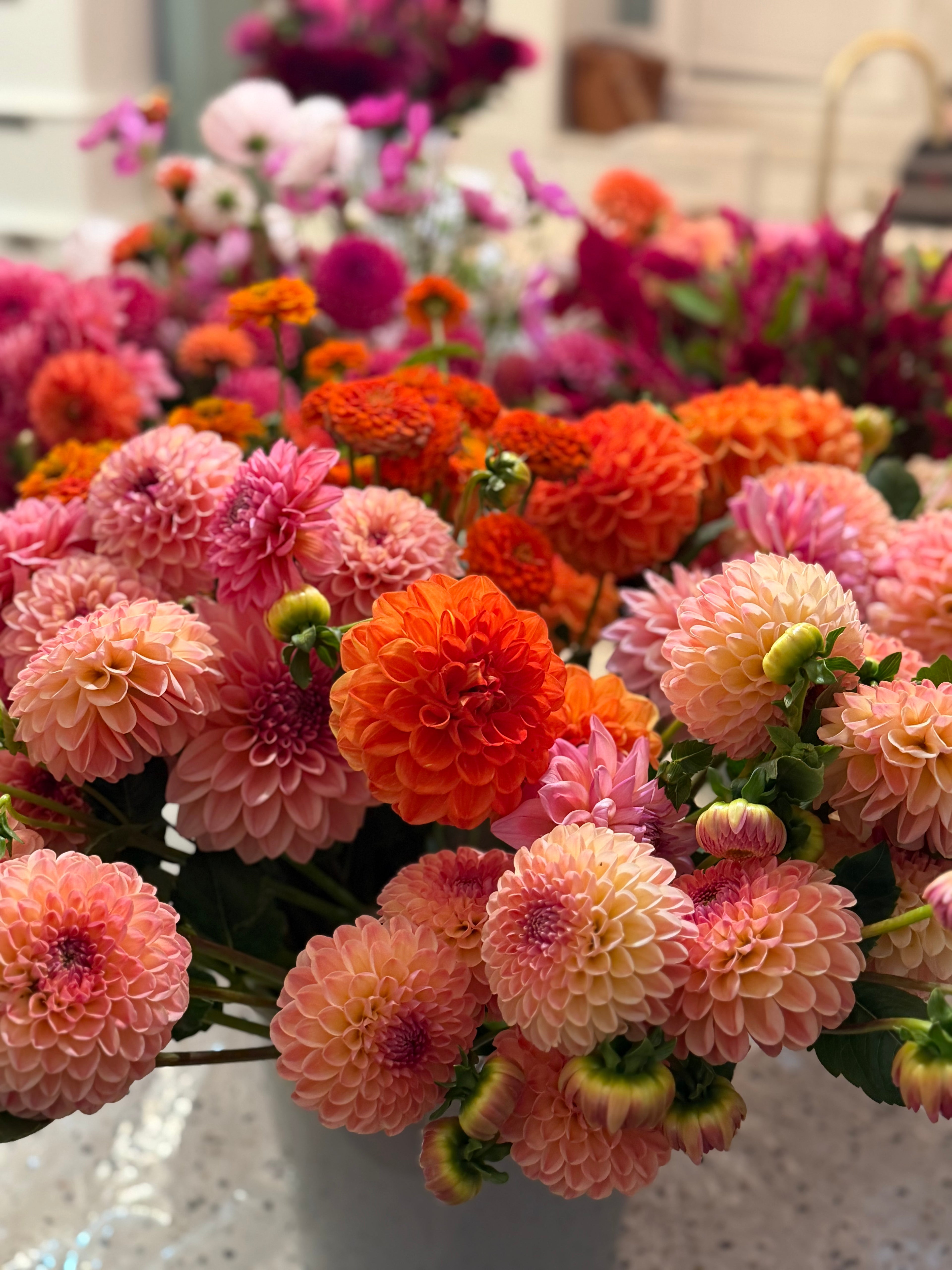 Dahlia Seeds – LLFF Farm Blend