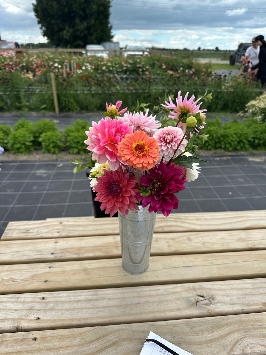 PYO Flowers Event – 15 Stems