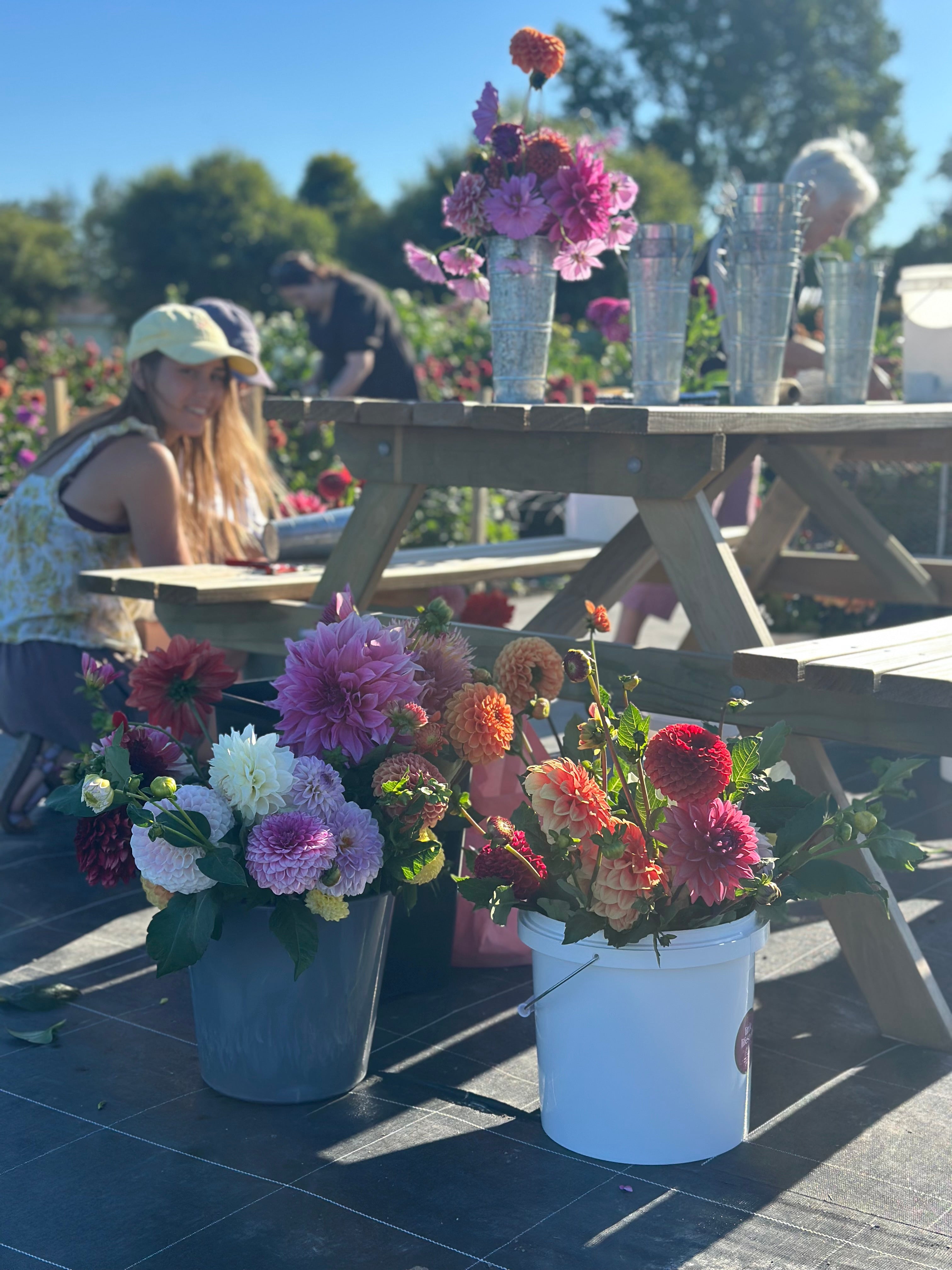 Little Lifestyle Flower Farm Gift Card