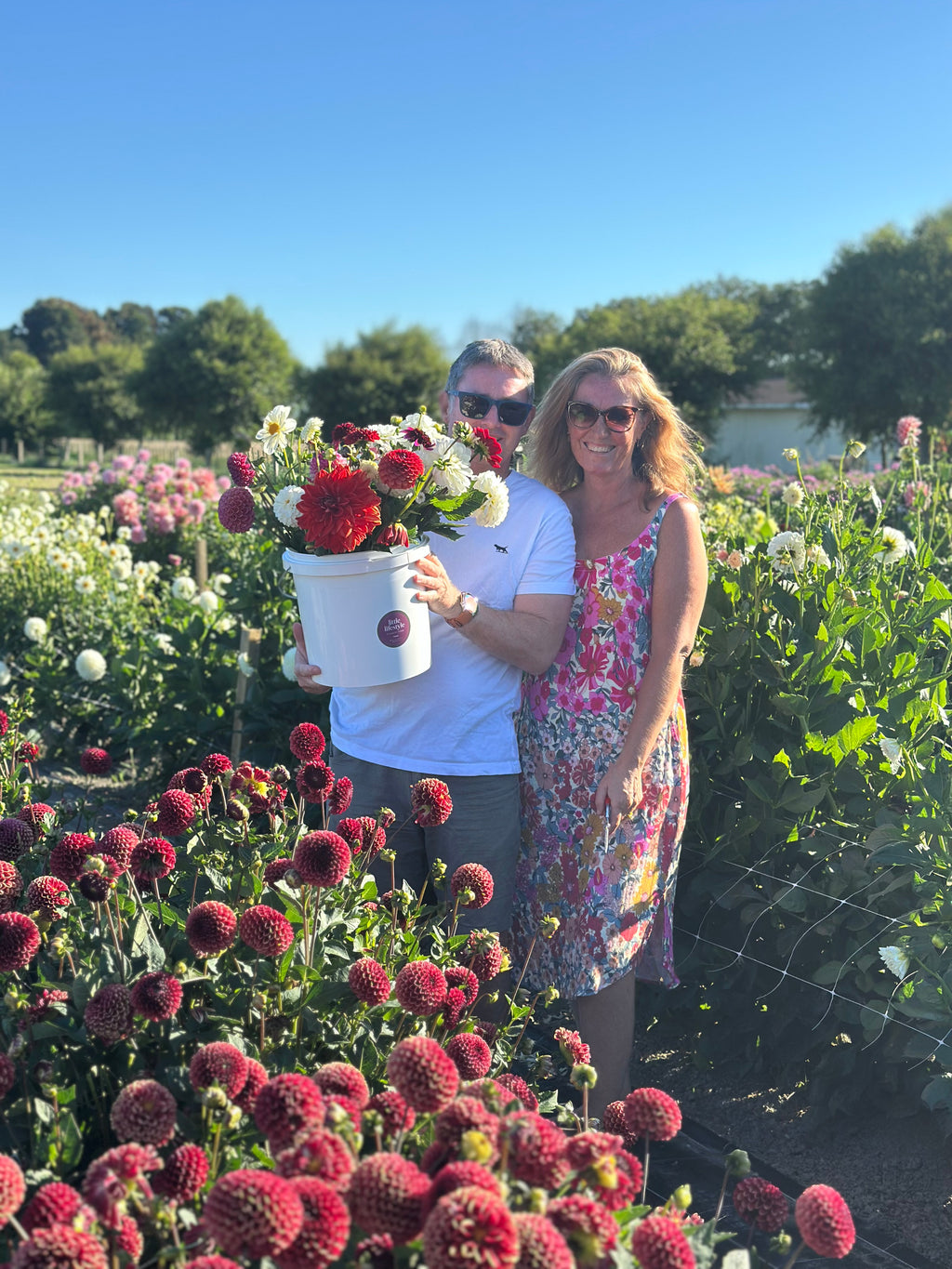 PYO Flowers Event – 15 Stems