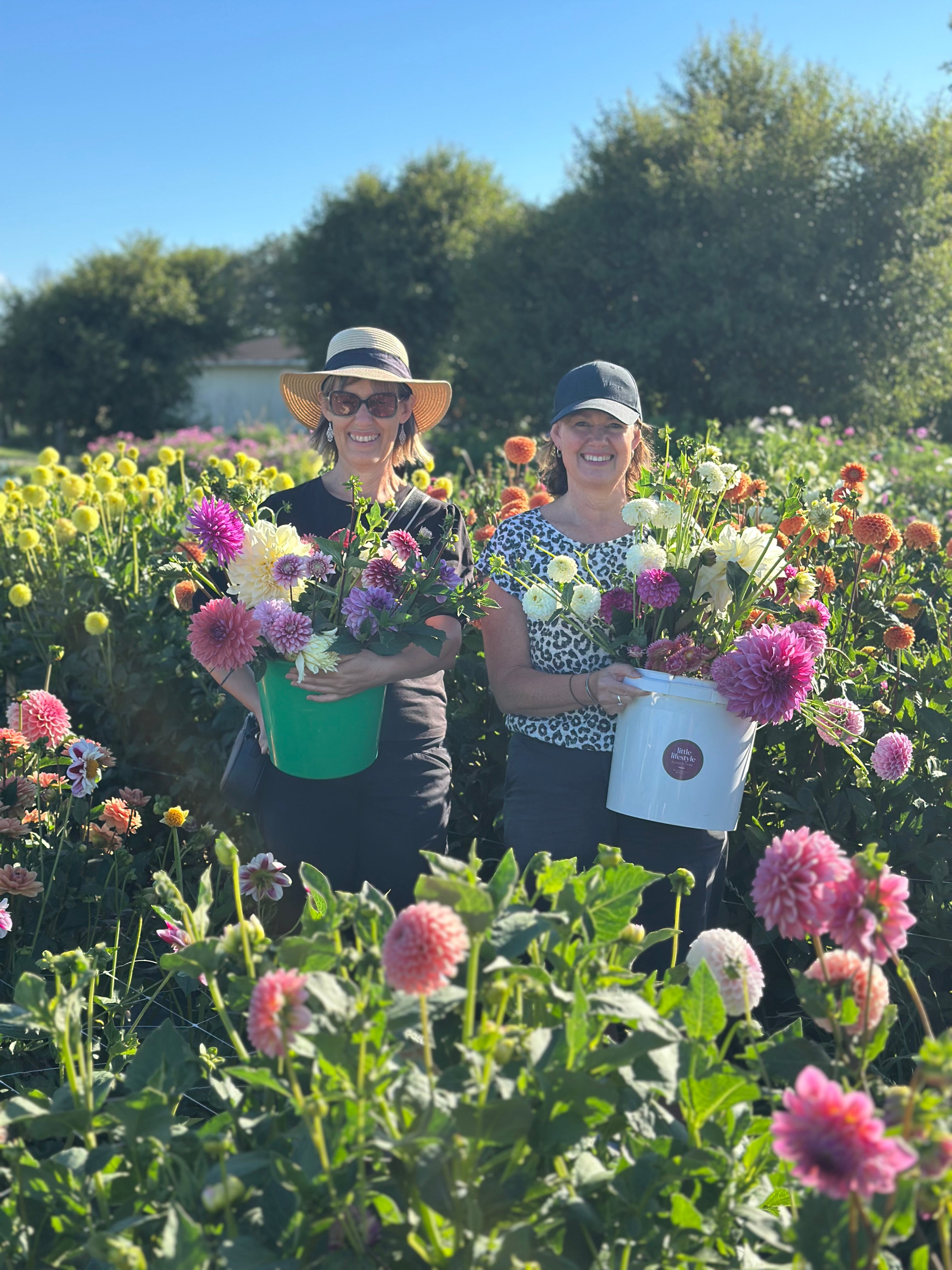 PYO Flowers Event – 30 Stems