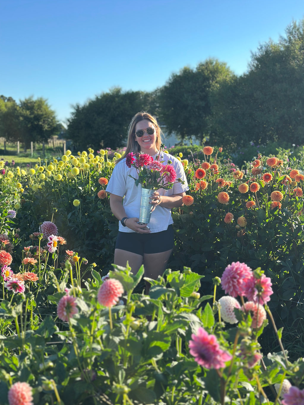 PYO Flowers Event – 15 Stems