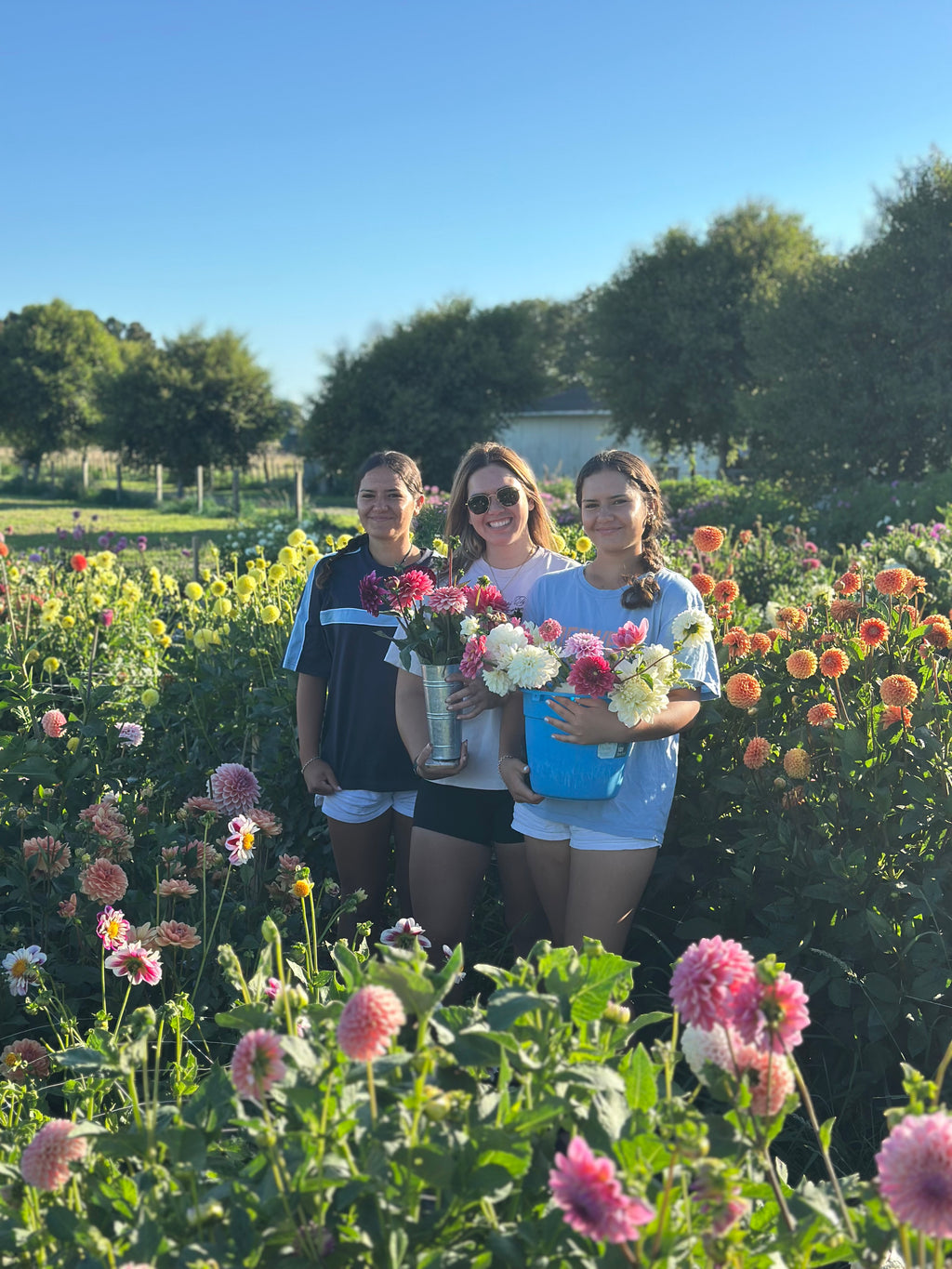 PYO Flowers Event – 15 Stems