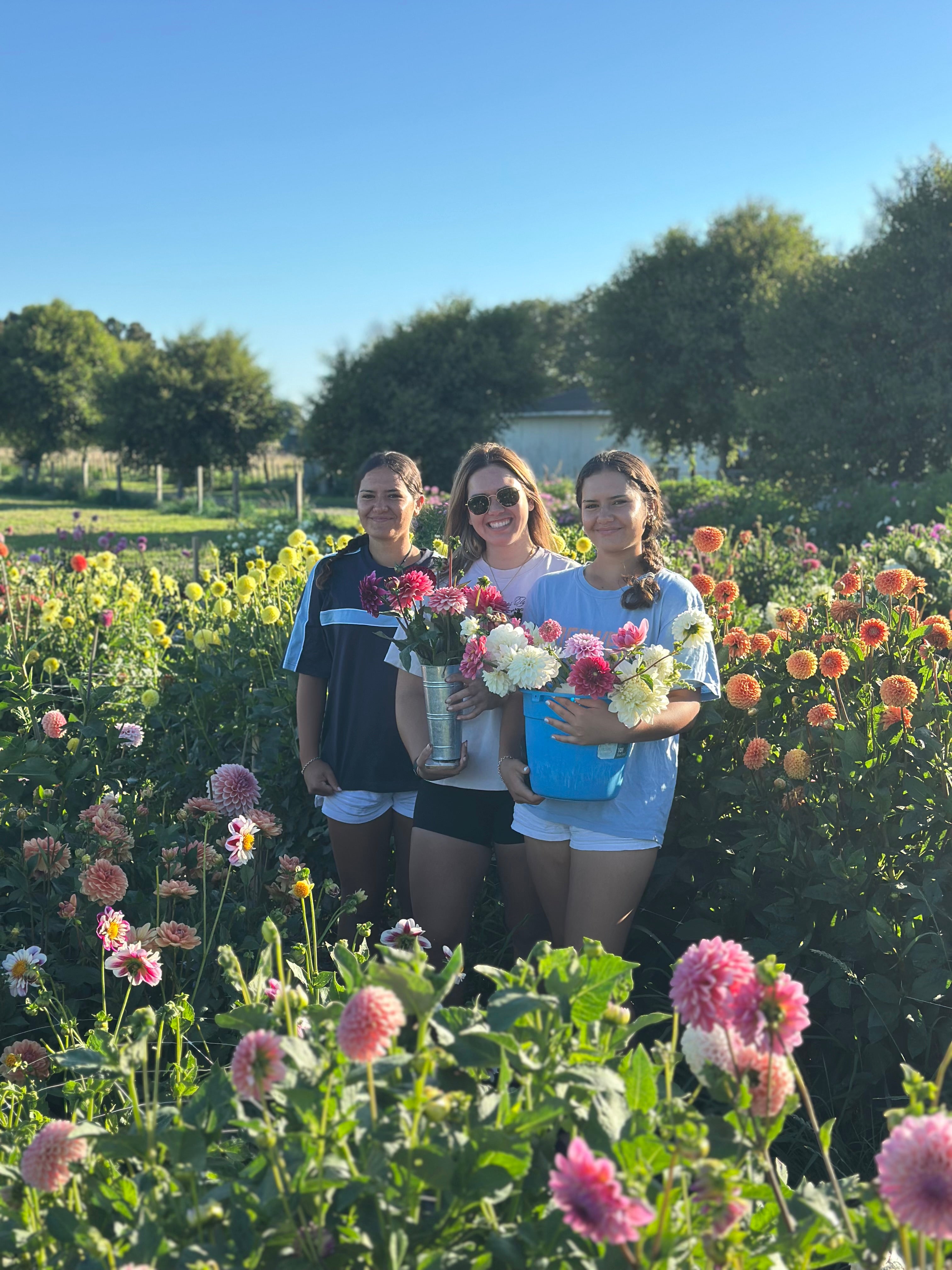 PYO Flowers Event – 15 Stems