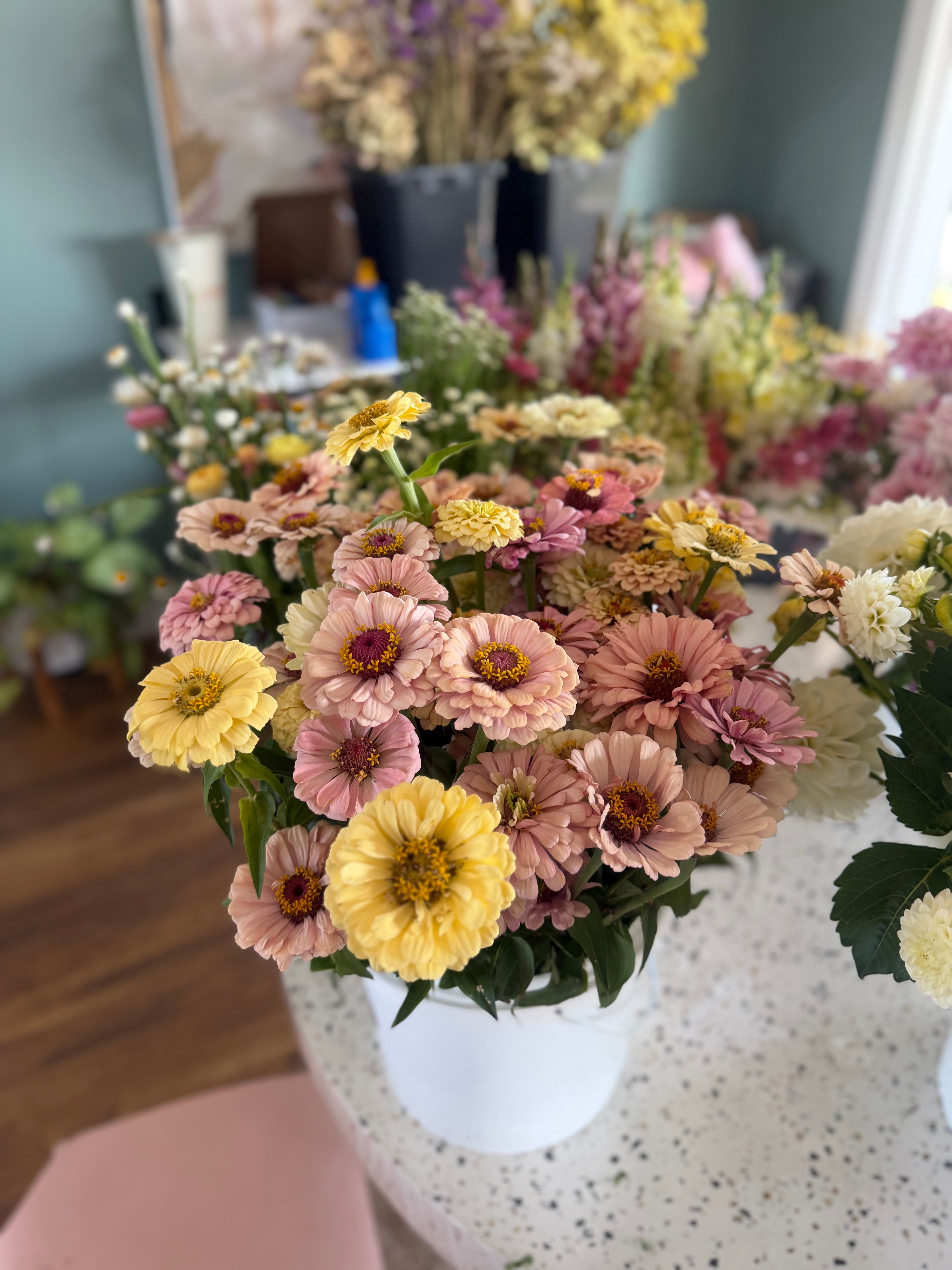 Zinnia Seeds – LLFF Farm Blend