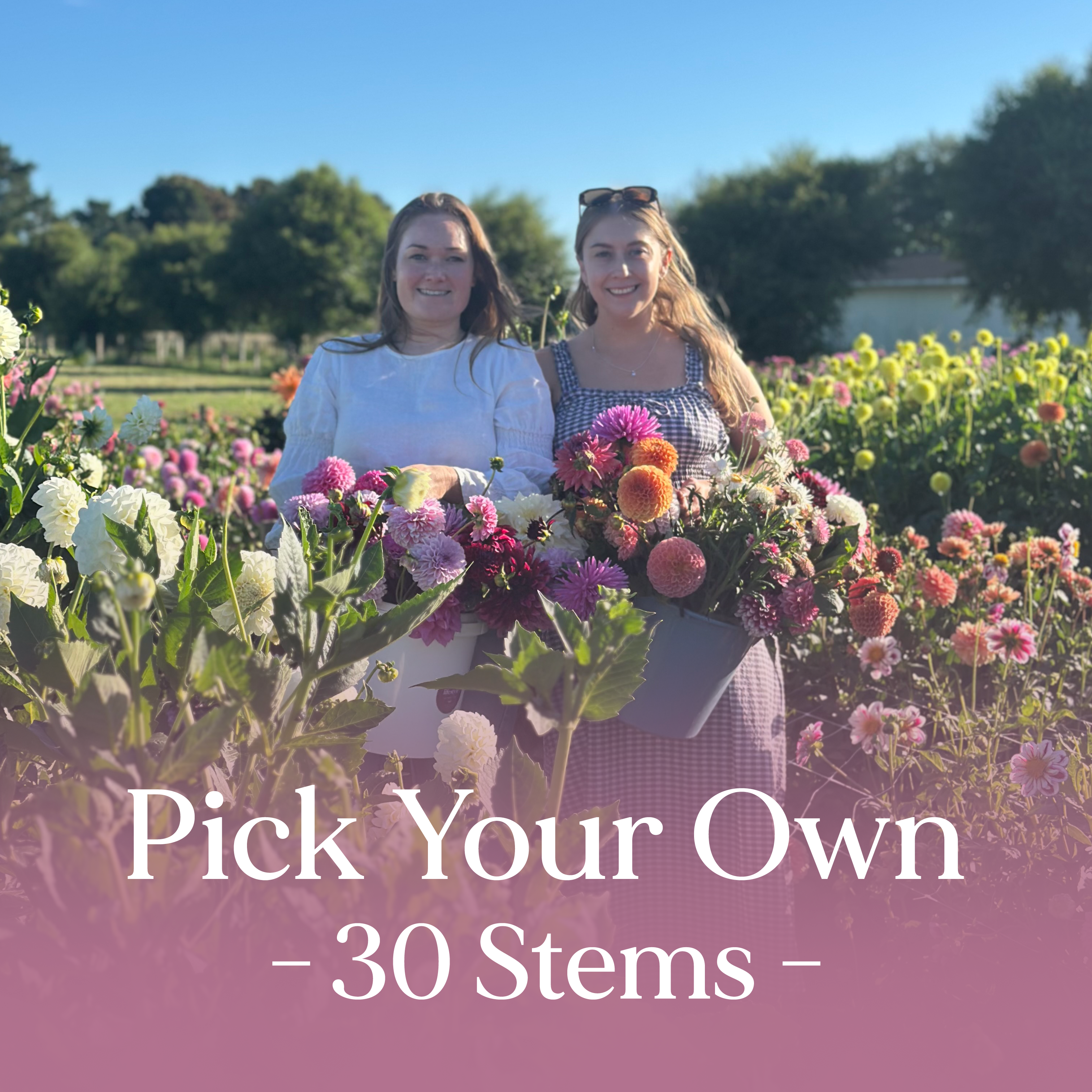PYO Flowers Event – 30 Stems