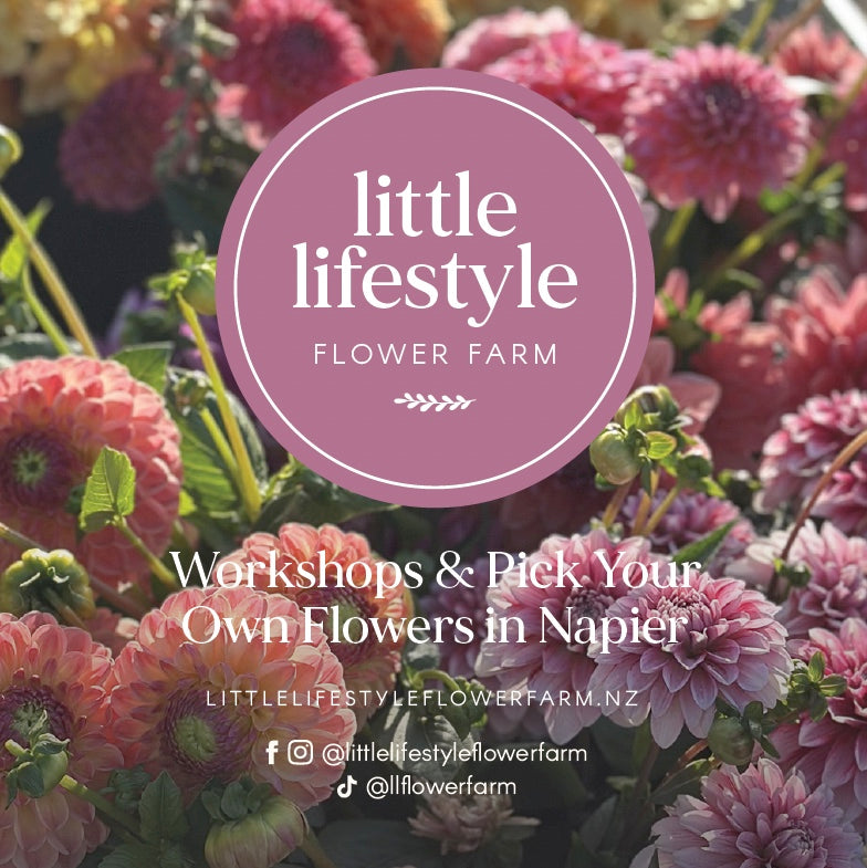 Little Lifestyle Flower Farm Gift Card